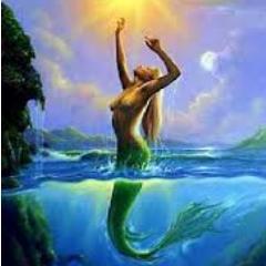 RainhaDoOceano's profile picture. A perfeição da natureza.