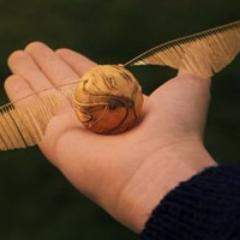 Quadribol Atráves dos Séculos,Propiedade de Hogwarts...