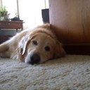 Joe Wadlinger - @WadlingerJoe - Twitter