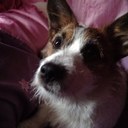 Robert Rigby - @bobbyrig - Twitter