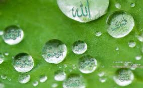 O my Rub make every Beat of my heart beat your name Allah Allah Allah
