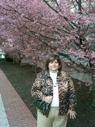 Presenter/Facilitator, Women in Leadership, Education for Life, Author, Volunteer Life Coach.