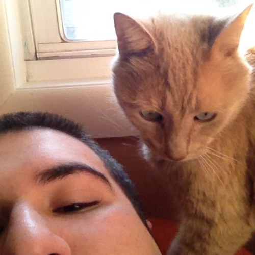 TimothyFultano's profile picture. XXI/Grimithy