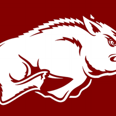 hog01fan's profile image