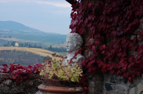 Luxury Villa owned by the same family for now 3 generations. In an attempt to keep it we are renting it to those wanting to taste all that Chianti has to offer