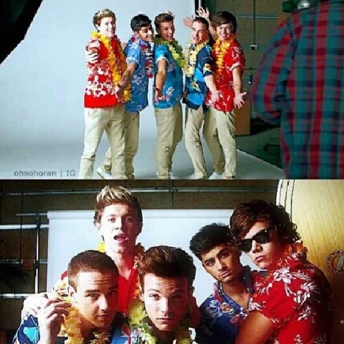 98fanof1D's profile picture. FREE FOLLOW @HiOrHey5SOS98