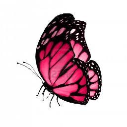 Shrimpey's profile picture. 