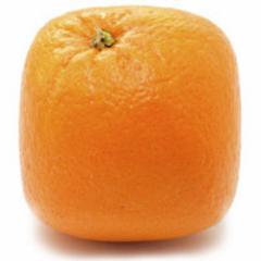 orangefrags's profile picture. 160 Male & Female Fragrances that are of the highest quality & also very affordable too,