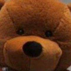 Variable of Teddy to choose! We got the biggest teddy in Malaysia! http://t.co/hmYKr518