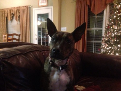 SarahBLuke's profile picture. 