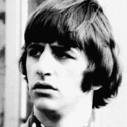 kivalinda's profile picture. i like dinosaurs and space.