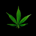 Legalize Illinois (@lacannabisparty) Twitter profile photo