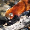 Todd Plunkett - @ToddWillP - Twitter