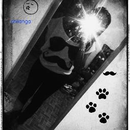 tqmmm forveeer