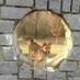 GeorgeBond12 (@georgebond12) Twitter profile photo