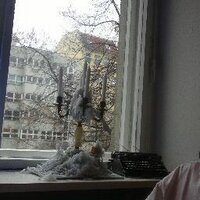 daiantinoral (@damiantinocor) 's Twitter Profile