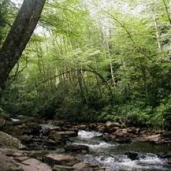 weston0810's profile picture. 