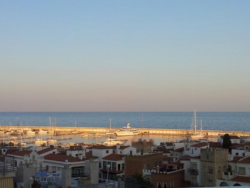 danielvidalsan's profile picture. 