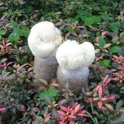 关注互联网，电子产品。