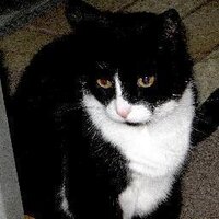 Marg T (@magypath) 's Twitter Profile