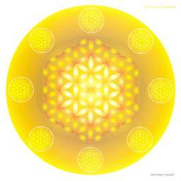 namastesebas's profile picture. 