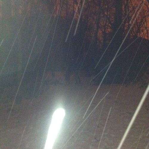 mushu83's profile picture. 