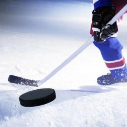 The name says it all. NHL final scores, right here.