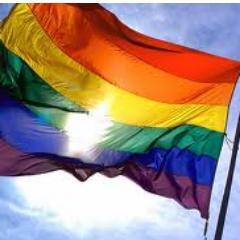O Fórum LGBT/AM é um colegiado composto por 23 organizações que militam em prol do respeito e valorização da diversidade sexual no Estado do Amazonas.