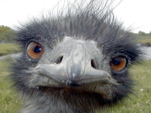 catchwater's profile picture. project management, insurtech,  consultant, entrepreneur, futurist, single Dad, live music supporter