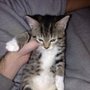 Jon Newberry - @jmnewberry - Twitter