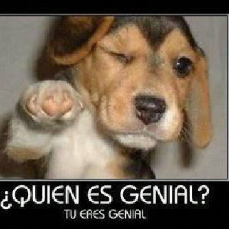 angie_guinguer's profile picture. follow me and follow back