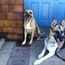 Montana and Dakota (@tm44duke) Twitter profile photo