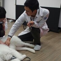 글쓰는 수의사 이학범 (@dvm_leehakbum) 's Twitter Profile Photo