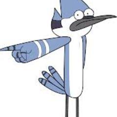 slackingbluejay's profile picture. hello I am the slacking blue jay ohhhhh !!!
