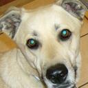 Del Moore - @TacoDelMoore - Twitter