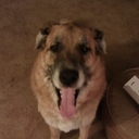 Jacob Gish - @TheSheriff816 - Twitter