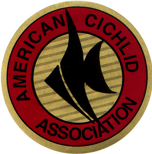 The American Cichlid Association is an organization dedicated to the knowledge and enjoyment of cichlid fishes from all over the world.
