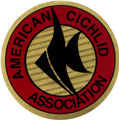ACAForum's profile picture. The American Cichlid Association is an organization dedicated to the knowledge and enjoyment of cichlid fishes from all over the world.