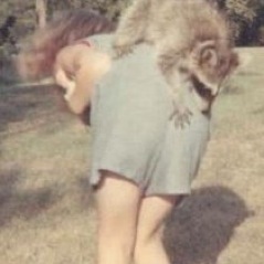 VA, copy editor, humor writer, raccoon whisperer.