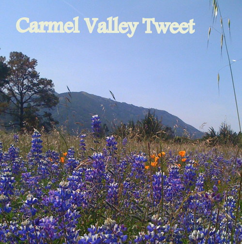 I live in Carmel valley village, in Monterey county.  I have been looking for a way to stay informed about our community.  So, here it goes