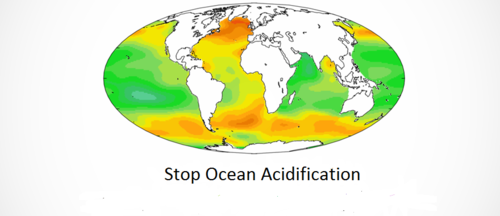We are solely based on education of Ocean Acidification, Ocean Acidification is commonly referred to as the sister of Global Warming yet nobody knows about me