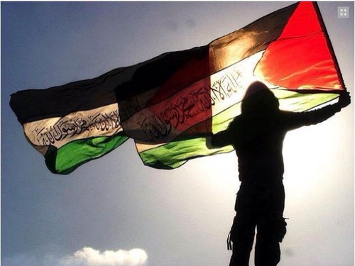 sheby2004's profile picture. To educate a man is to educate individual, to educate a women is to liberate a Nation. Malxom X