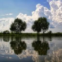 kosterina73's profile picture. 