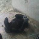 Denise Alston - @besthead - Twitter