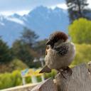 Way Liew - @ThatWayGuy - Twitter