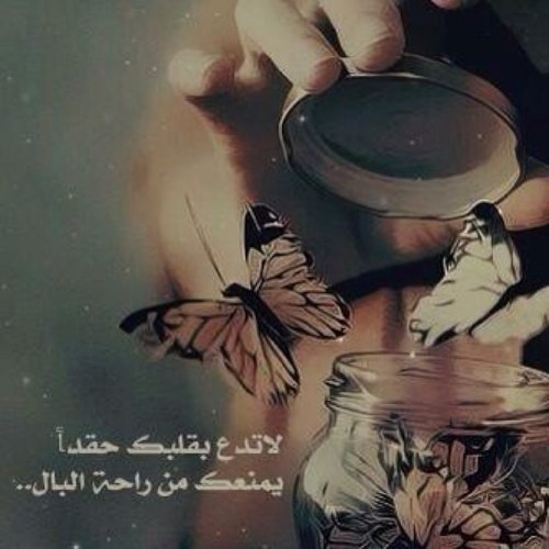 أثق بأنني مختلفة ، أحمل في داخلي روح حنونہ ، لگنها تتعب عندما تضيق بها الحياه..لست مثالية ولكن أقسم بأن ' نيتي طاهرة للجميع . . #وهذا_يكفيني♥!
