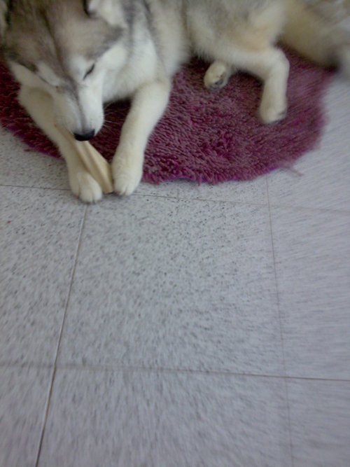 ngsteph's profile picture. 🍀Writer 🍀Yoga teacher🧘🏻‍♀️ 讀書寫字練瑜伽 Read Write Yoga 📿 #NavakaraṇaVinyāsa #我的印度學習筆記 #ReflectionsonYoga #人人瑜伽 #everybodyyoga