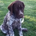 Cameron Winters - @CameWin - Twitter