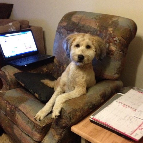 DocDeeDC's profile picture. 