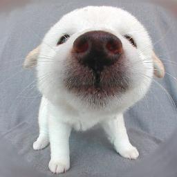 無料 相互フォロー　無料オファーのご紹介　副業で楽しい生活を応援します。　#followme #followmejp #sougofollow #followback #teamautofollow #teamfollowback #instantfollowback